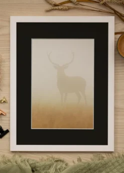 Ram Stilren Vit 24x30 cm - Passepartout Svart 6x8 inches