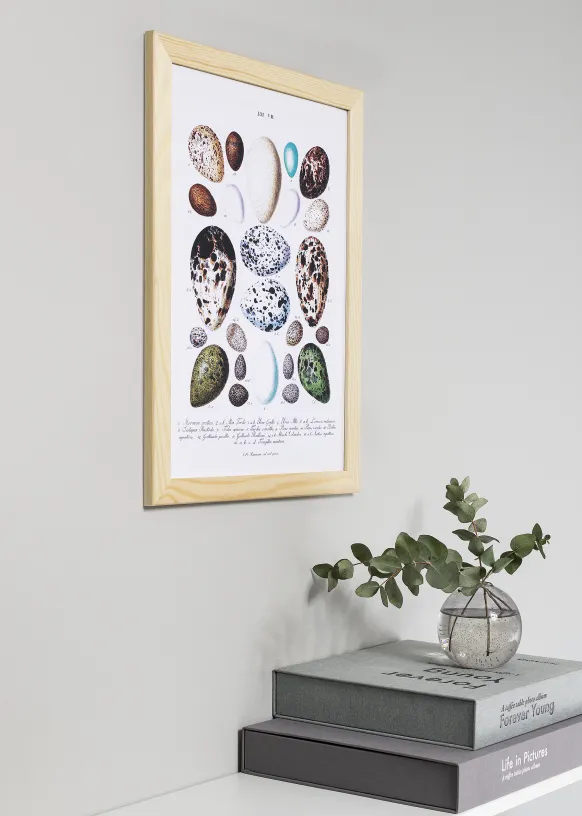 Ram Trendline Glas Nature 50x50 cm