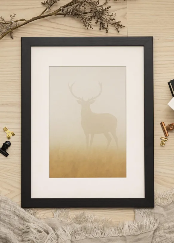 Ram Trendline Svart 60x80 cm - Dubbel Passepartout Vit 50x70 cm