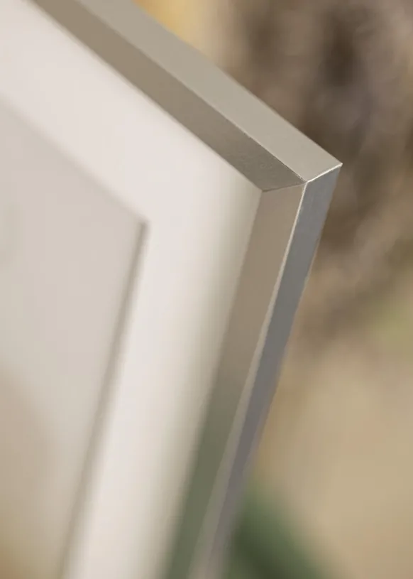 Ram Trendy Silver 50x100 cm
