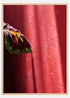 Red wall Poster (21x29.7 cm (A4))
