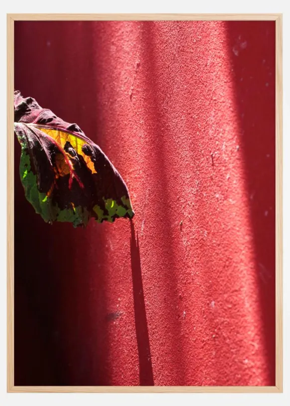 Red wall Poster (21x29.7 cm (A4))