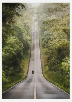 Road Canvastavla (30x40 cm)