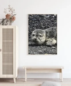 Seel Poster (21x29.7 cm (A4))