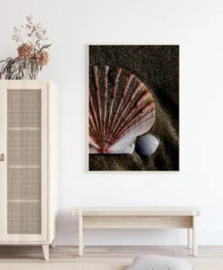 Shell Poster (21x29.7 cm (A4))