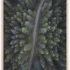 Small road through the forest Poster (21x29.7 cm (A4))