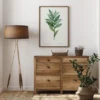 Smilacina Stellata Poster (21x29.7 cm (A4))