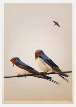Swallows Canvastavla (30x40 cm)