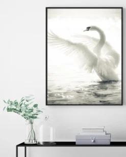 Swan Poster (21x29.7 cm (A4))