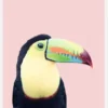 Toucan On Pink Canvastavla (30x40 cm)