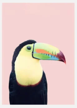 Toucan On Pink Canvastavla (30x40 cm)
