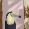Toucan on Pink Poster (21x29.7 cm (A4))