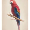 Tropical Parrot Poster (21x29.7 cm (A4))