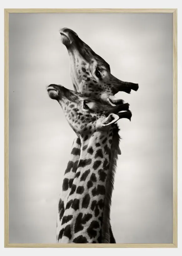 True Love Poster (21x29.7 cm (A4))