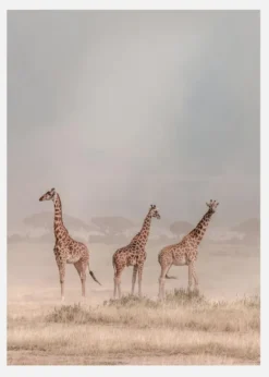 Weathering The Amboseli Dust Devils Canvastavla (30x40 cm)