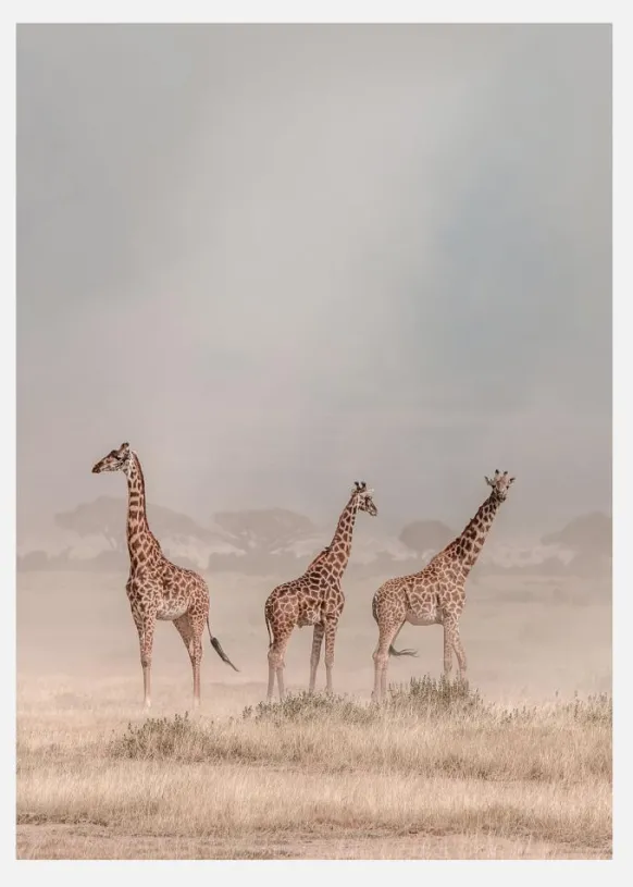 Weathering The Amboseli Dust Devils Canvastavla (30x40 cm)