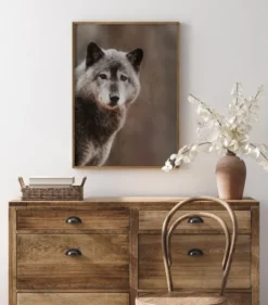 Wolf Poster (21x29.7 cm (A4))