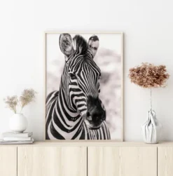 Zebra Poster (21x29.7 cm (A4))
