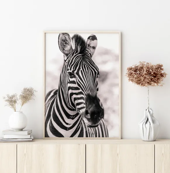 Zebra Poster (21x29.7 cm (A4))