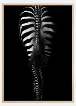 Zebra Tail Poster (21x29.7 cm (A4))